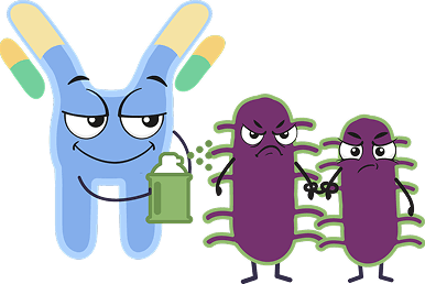 Пометка бактерий антителами