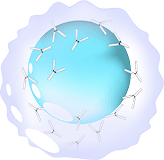 Гуморальный иммунитет