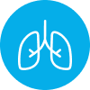 Легкие